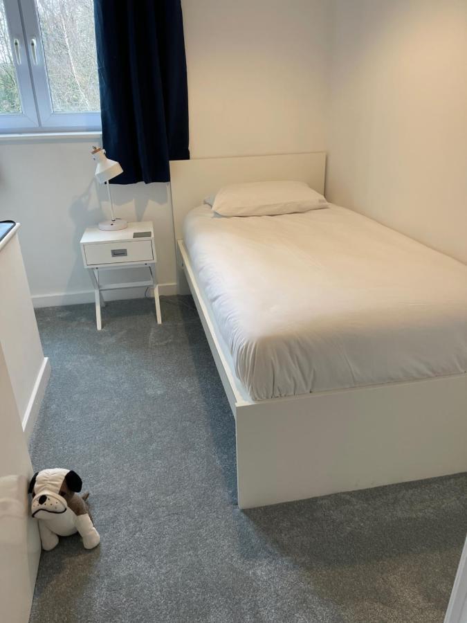 The Beeches - Serviced Duplex Apartment Sheffield Luaran gambar